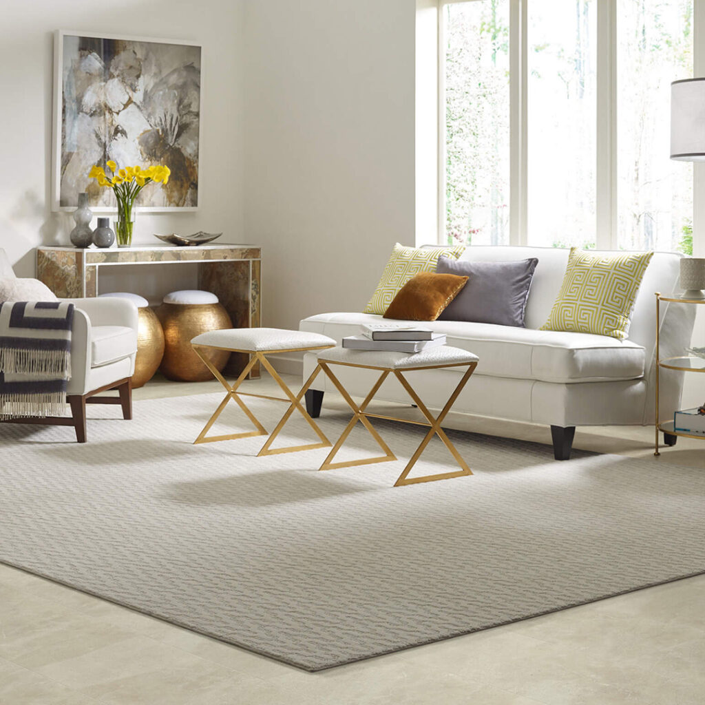 Living Room Area Rug | The Floor Store VA