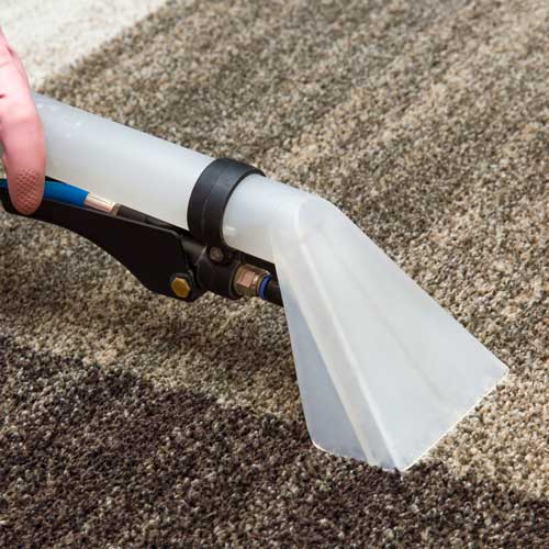 Carpet Cleaning | The Floor Store VA